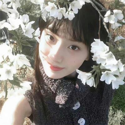 儿女英雄传