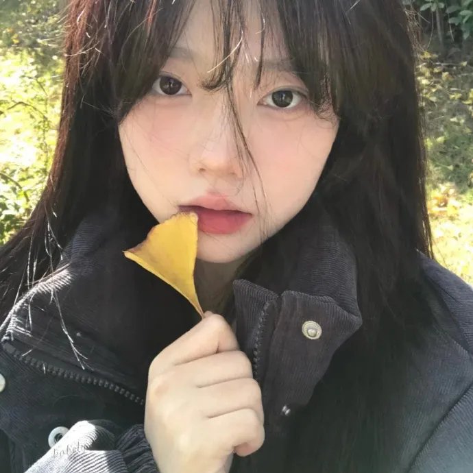 星光灿烂